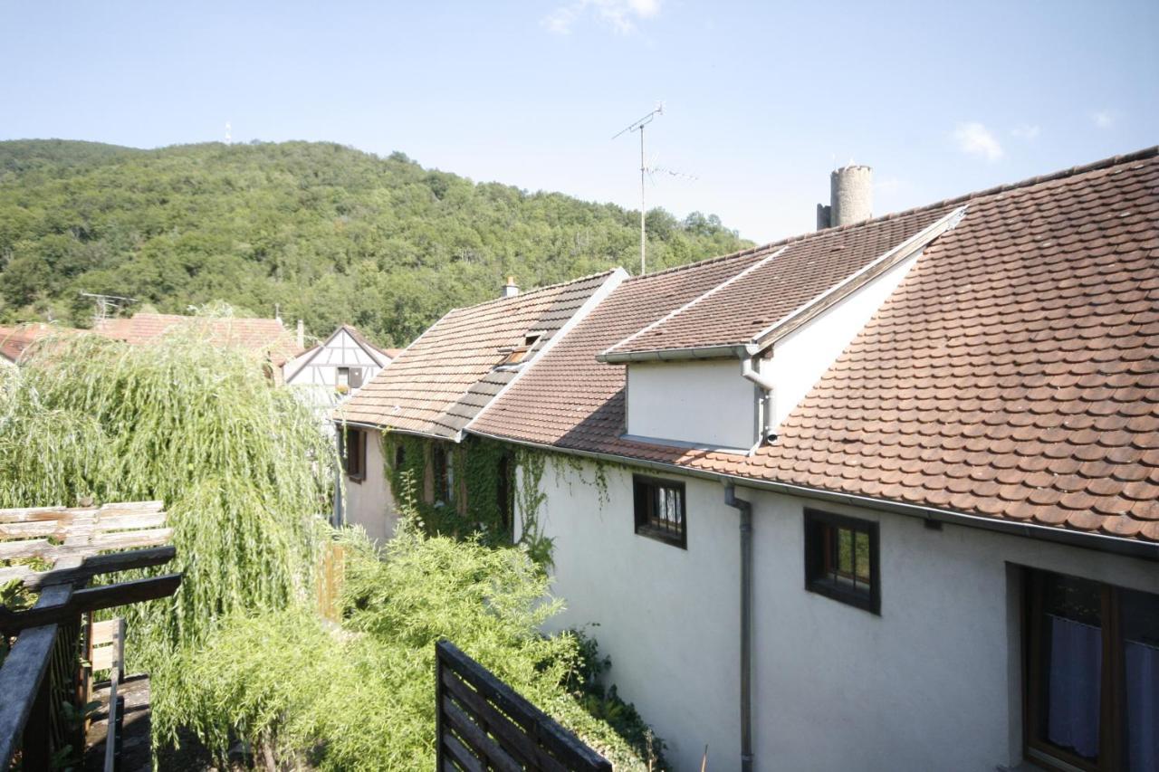 Appartement Le Keiler Kaysersberg-Vignoble Esterno foto