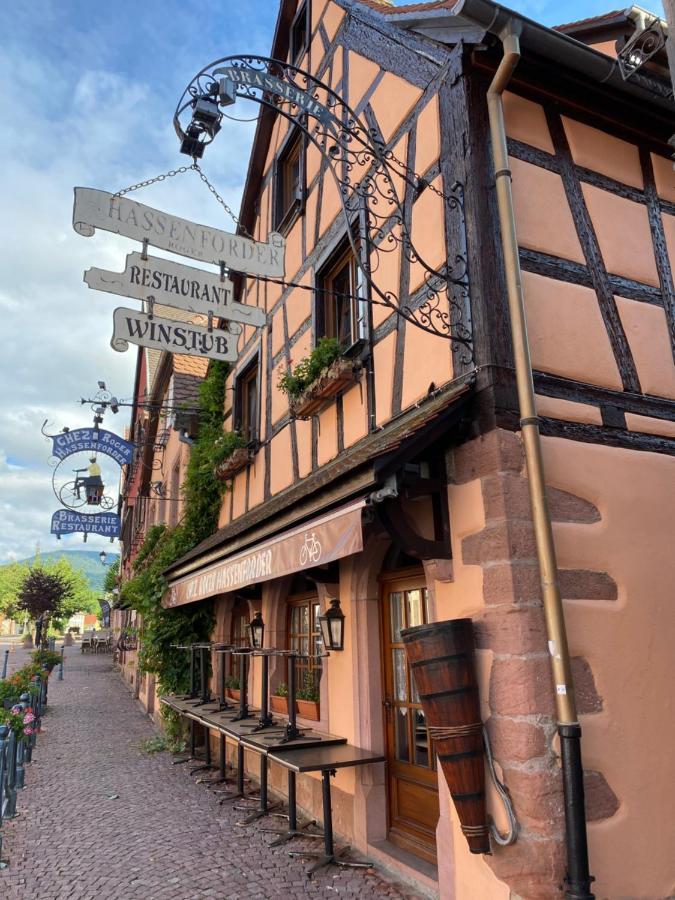 Appartement Le Keiler Kaysersberg-Vignoble Esterno foto